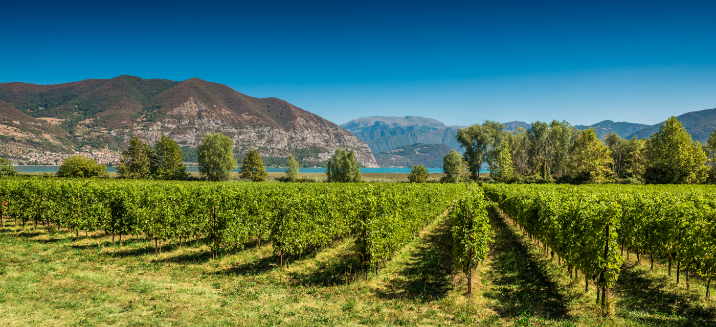 فرانسیاکورتا - Provaglio d'Iseo | Secret World Trip Planner