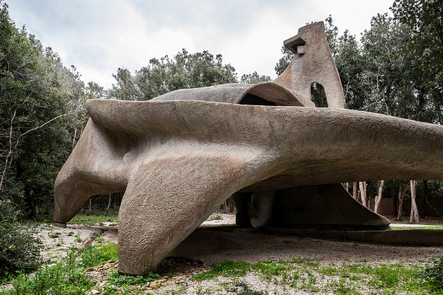 Teach Saldarini - Baratti | Secret World Trip Planner