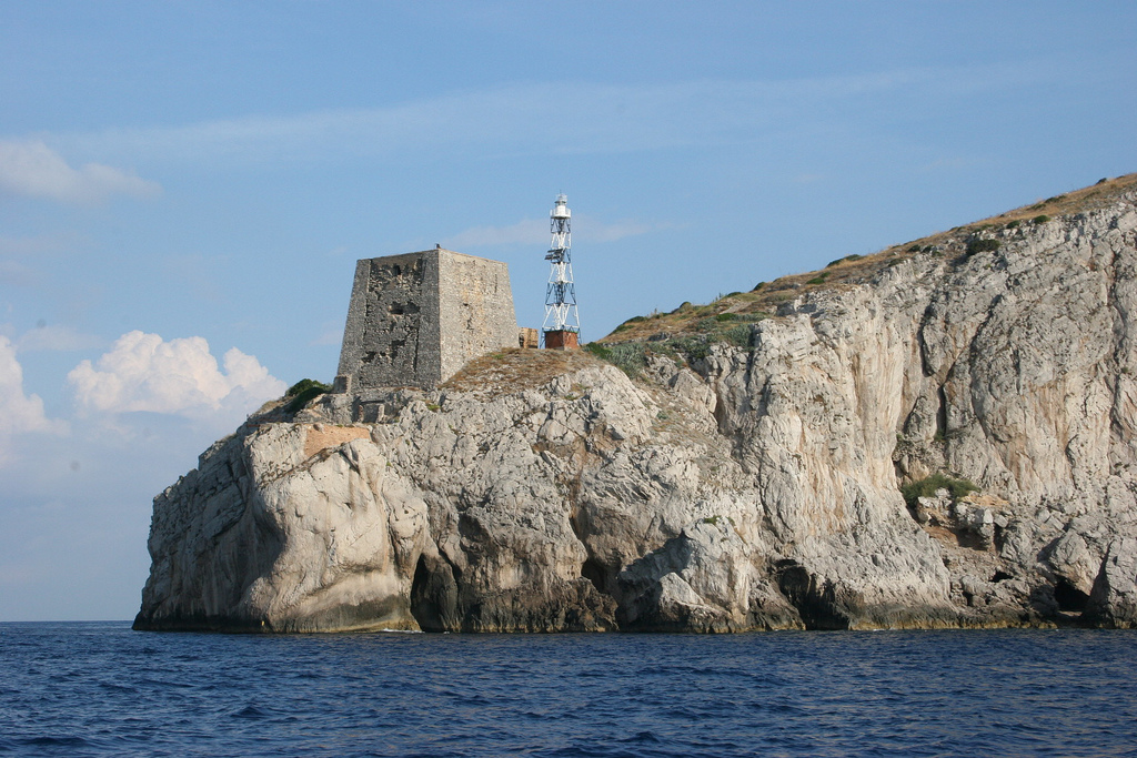 Campanella puntua - Area naturale marina protetta Punta Campanella | Secret World Trip Planner