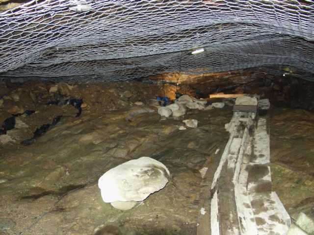 Susiluola (Volčja Jama) - Kristiinantie 100 | Secret World Trip Planner