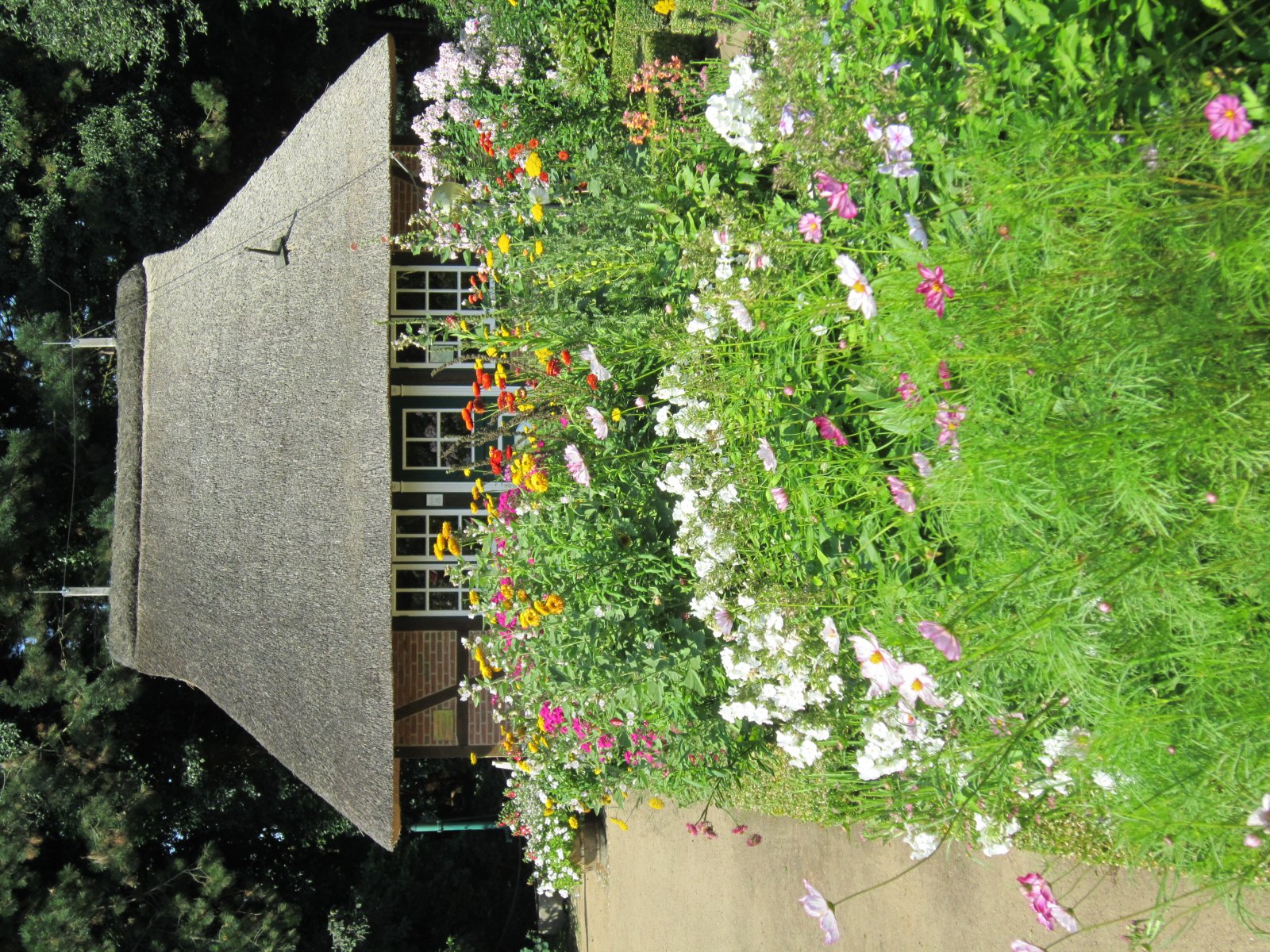 Hamburgi Botanikus Kertek - Hamburg | Secret World Trip Planner