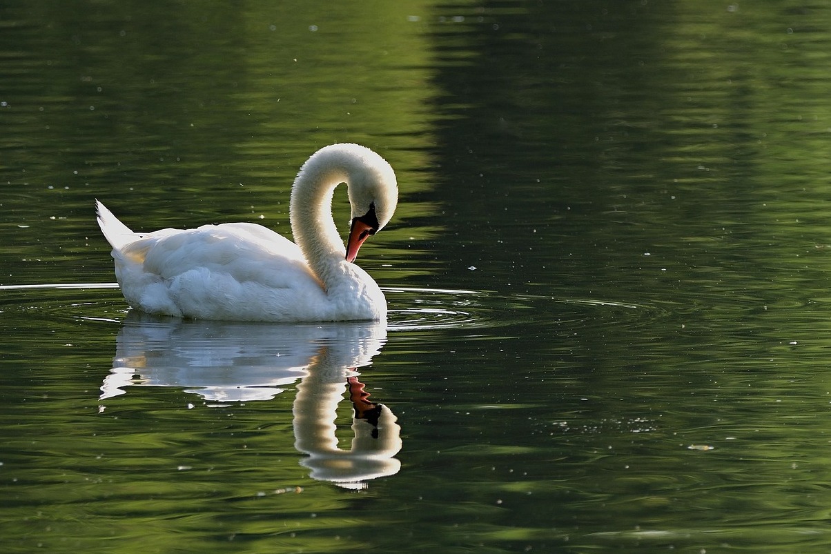 Winnipeg’s Assiniboine Park and Zoo - Winnipeg | Secret World Trip Planner