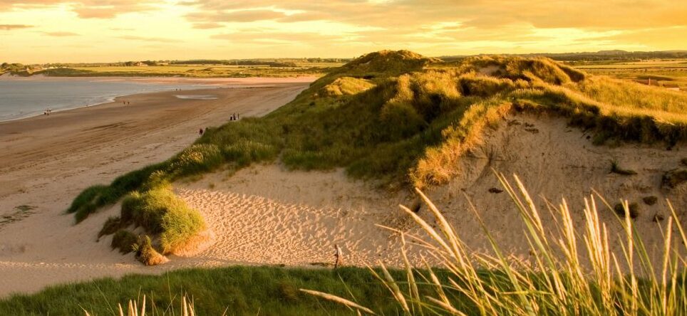 Beadnell Beach ina sura ya farasi - Beadnell | Secret World Trip Planner