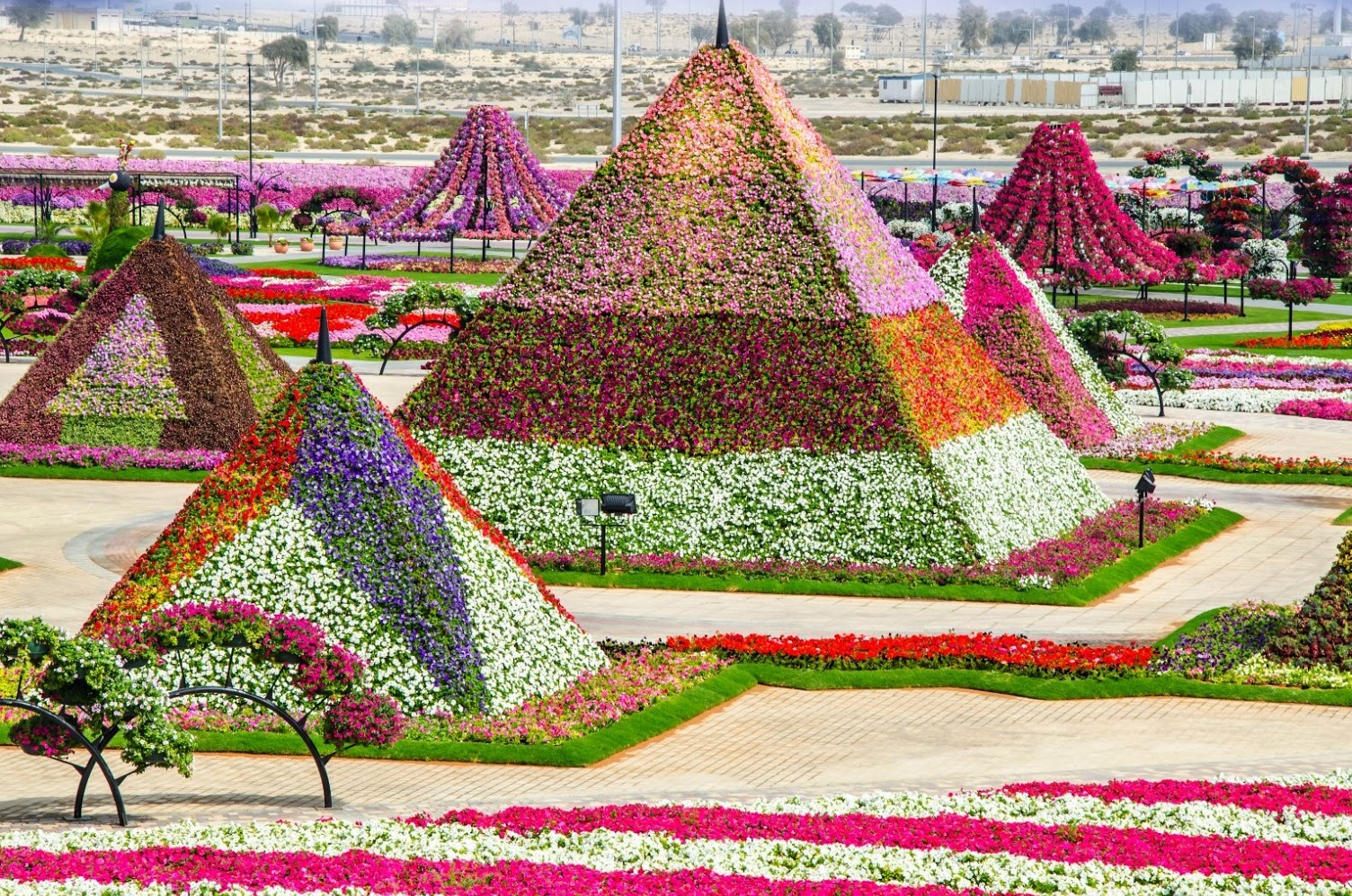 The Dubai Miracle Garden — Dubai