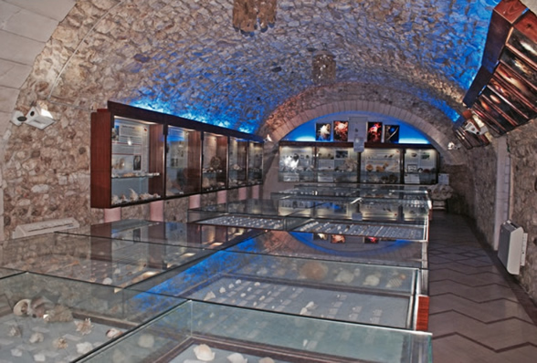 Malakologijos Muziejus - Vieste | Secret World Trip Planner