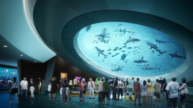 Museu de la Ciència Phillip i Patricia Frost - Miami | Secret World Trip Planner
