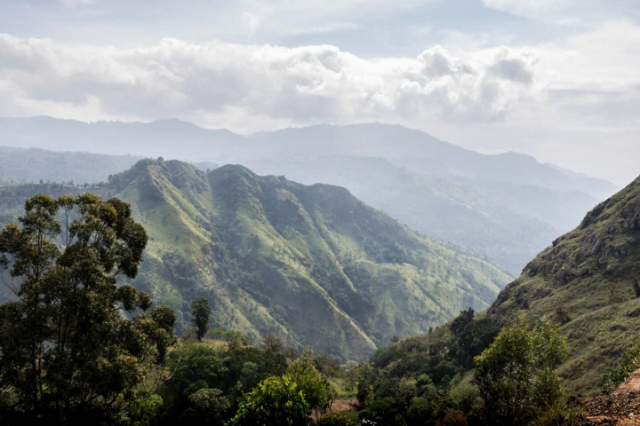 Descubrir Ella: la joya oculta de Sri Lanka en el corazón de las colinas - Ella | Secret World Trip Planner