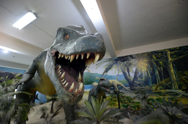 Le musée d'histoire naturelle du Pakistan (PMNH) - Islamabad | Secret World Trip Planner