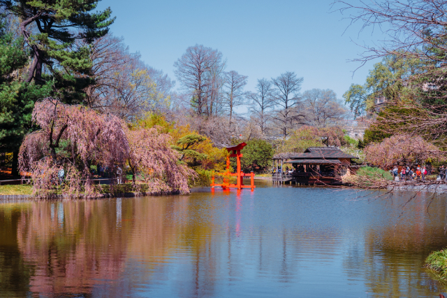 Jardin botanique de Brooklyn - Brooklyn | Secret World Trip Planner