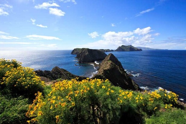 Anacapa Island...Una piccola isola con grandi panorami — Anacapa