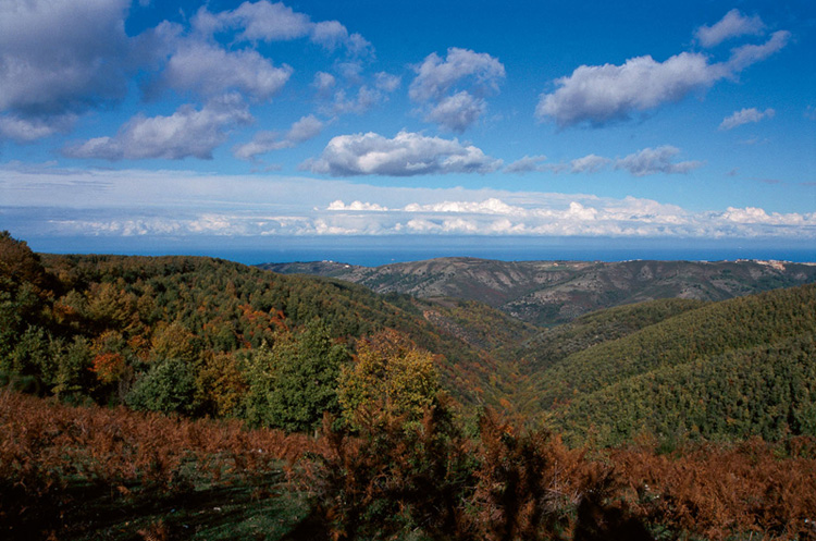 ウンブラの森 - Foresta Umbra | Secret World Trip Planner