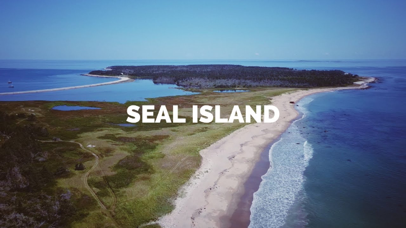 Seal Island - Seal Island | Secret World Trip Planner