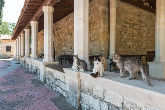 Sacro Monastero di San Nicola dei Gatti - Akrotiri | Secret World Trip Planner