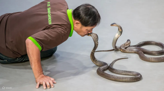 நான் ஒரு செர்பென்டேரியம் - Khet Lat Krabang | Secret World Trip Planner