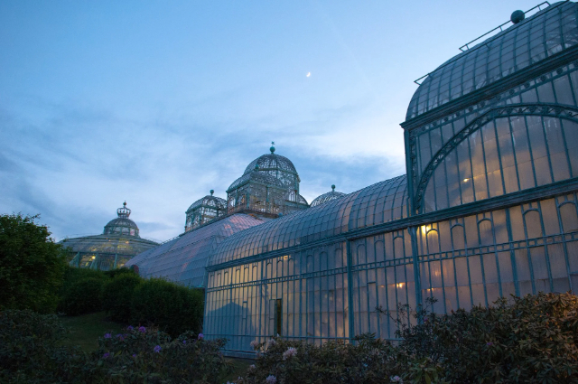 De kungliga växthusen i Laeken - Bruxelles | Secret World Trip Planner