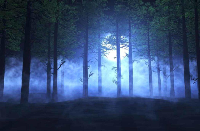 Luci fantasma Aleya — খুলনা