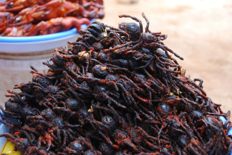 Fried Spider – Cambodia | Secret World Trip Planner