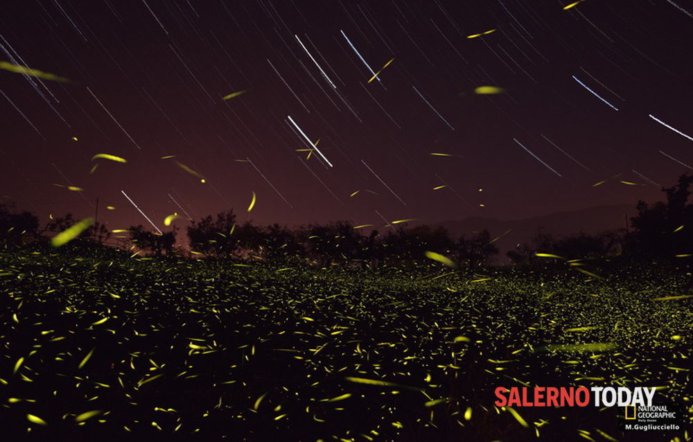 La magia delle lucciole - Ponte Oliveto-bagni | Secret World Trip Planner