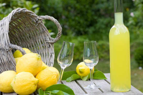 Limone di amalfi - Amalfi | Secret World Trip Planner