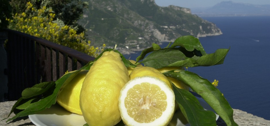 Limone di amalfi - Amalfi | Secret World Trip Planner