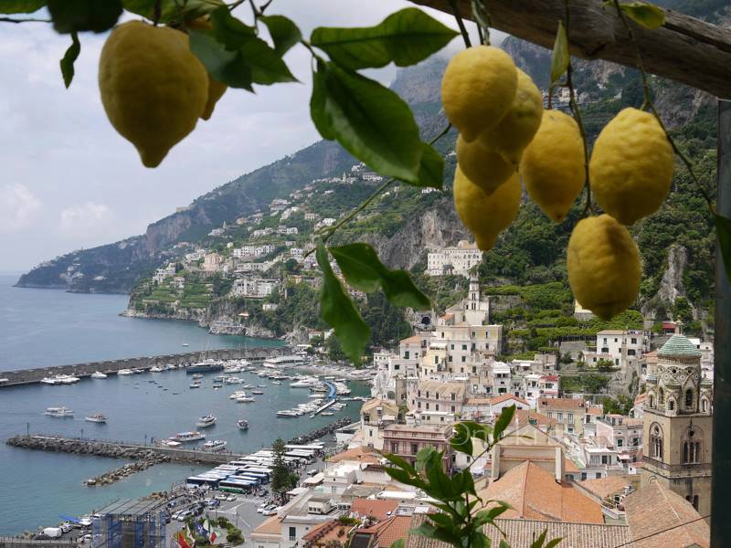Limone di amalfi - Amalfi | Secret World Trip Planner