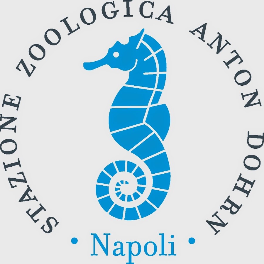 Stazione zoologica Anton Dohrn di Napoli - Napoli | Secret World Trip Planner