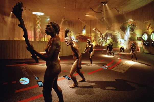 Neanderthal Museum — Mettmann