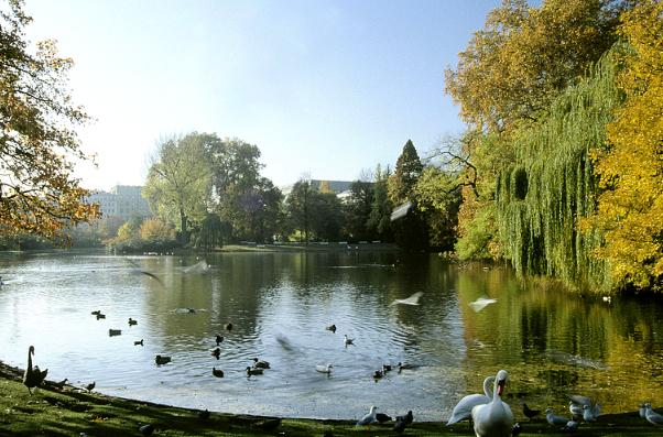 Dusseldorf: Hofgarten, a place to relax — Düsseldorf