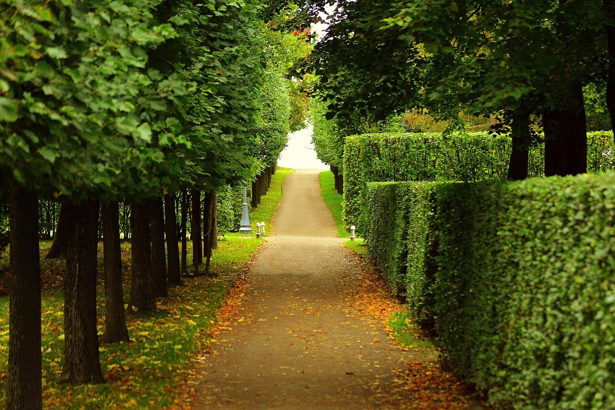 Peterhof, la splendida residenza estiva della famiglia imperiale russa. - Petergof | Secret World Trip Planner