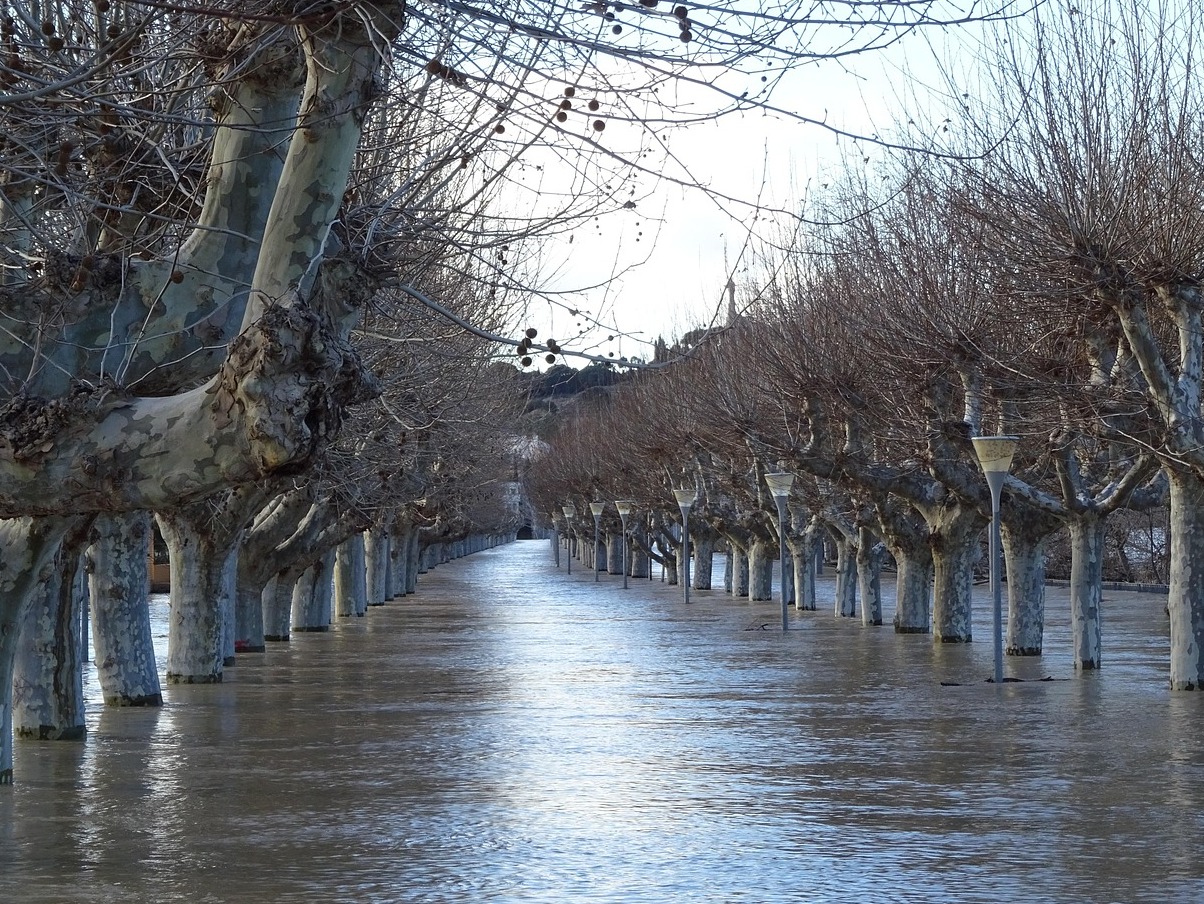 Spain| The Jews of Tudela - Tudela | Secret World Trip Planner