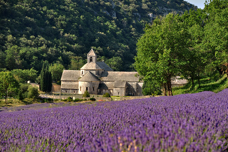 Абатство Сенанк и тайната долина Лавандър - Gordes | Secret World Trip Planner