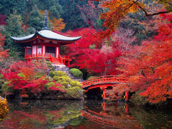 Kioto: Dārzs un Saihoji templis - Ky?to-shi | Secret World Trip Planner