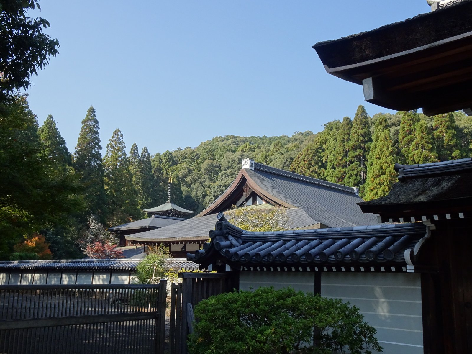 Kioto: Dārzs un Saihoji templis - Ky?to-shi | Secret World Trip Planner
