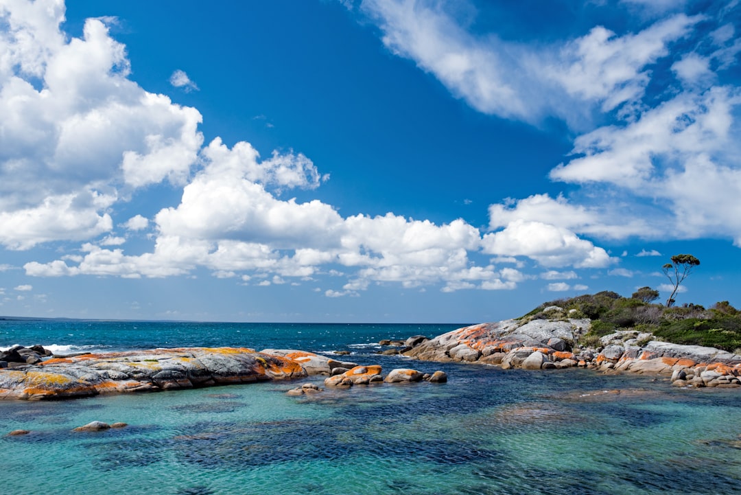 Bay of Fires - Bay Of Fires | Secret World Trip Planner