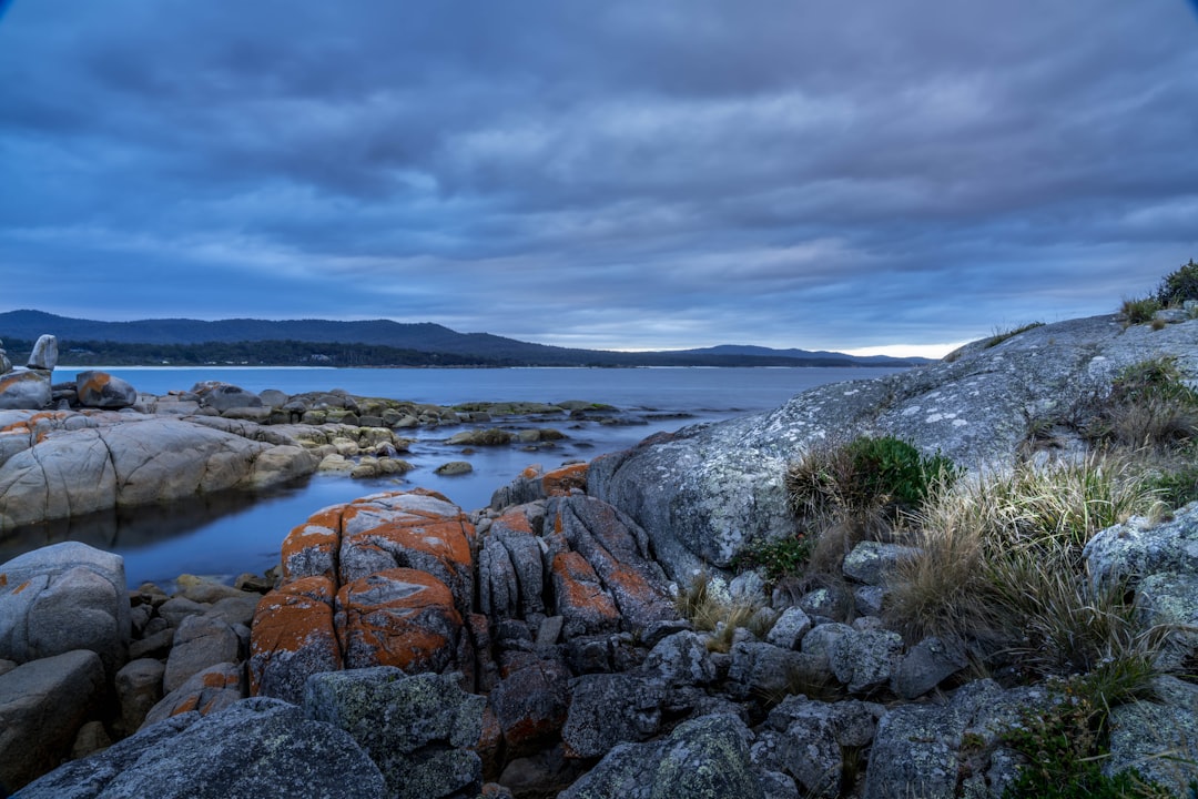 Bay of Fires - Bay Of Fires | Secret World Trip Planner