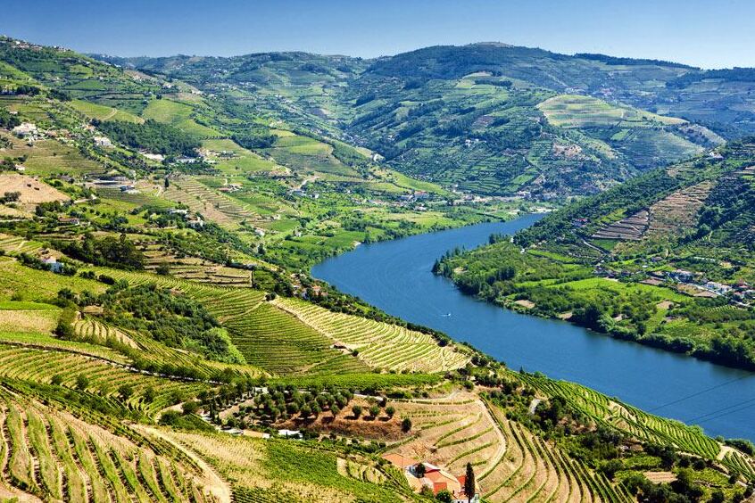 The stunning Douro Valley  | Secret World Trip Planner