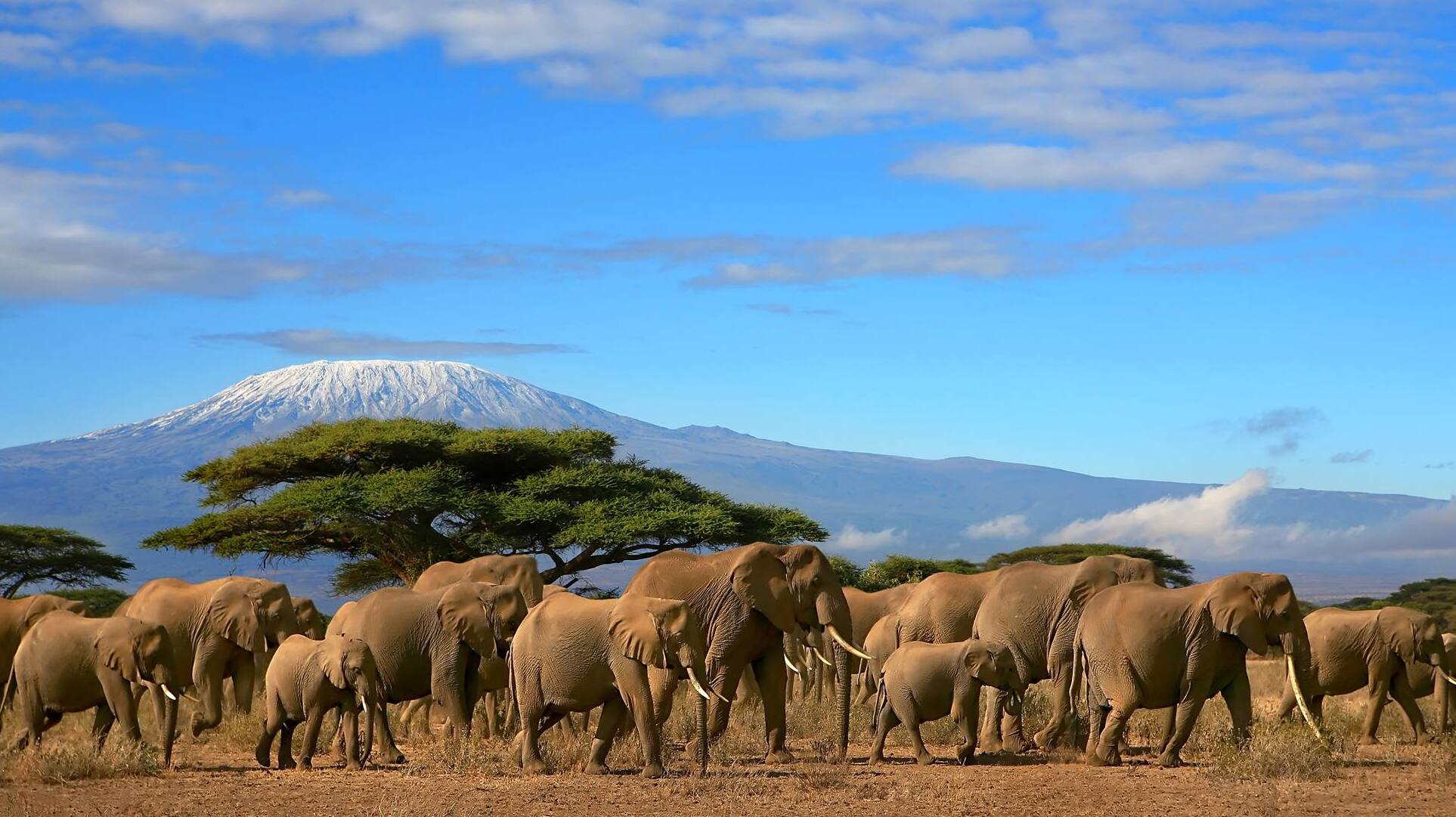Mount kilimanjaro - Regione del Kilimangiaro | Secret World Trip Planner