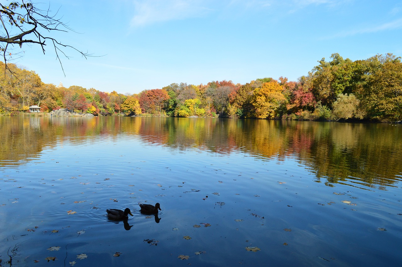 Central Park - New York | Secret World Trip Planner