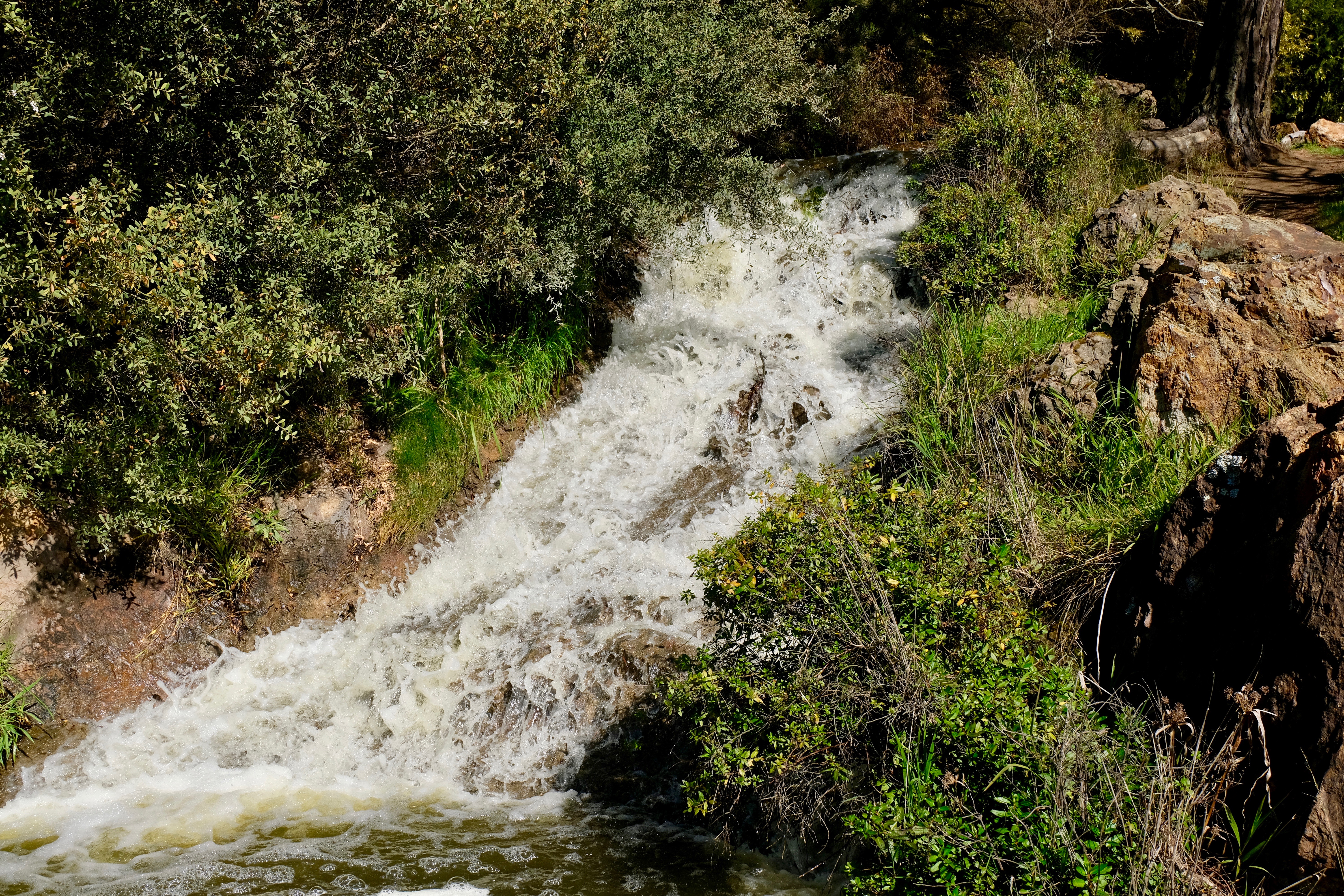 The Golden Gate park in San Francisco - San Francisco | Secret World Trip Planner