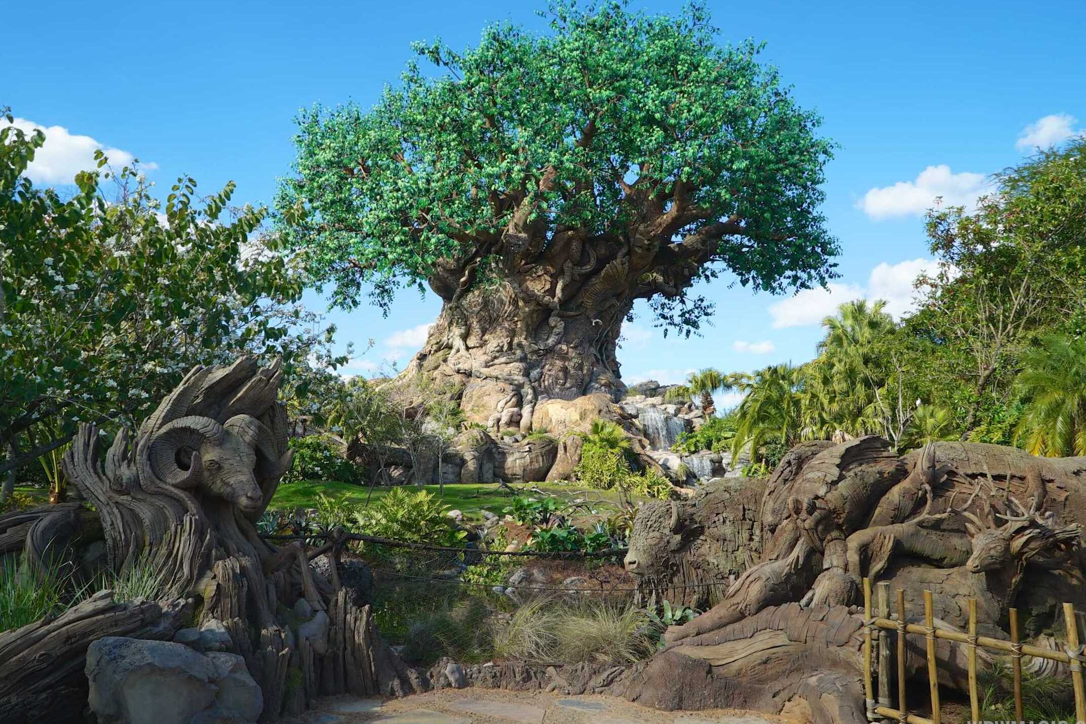 ウォルト・ディズニー・ワールドのディズニー・アニマル・キングダム - Kissimmee | Secret World Trip Planner