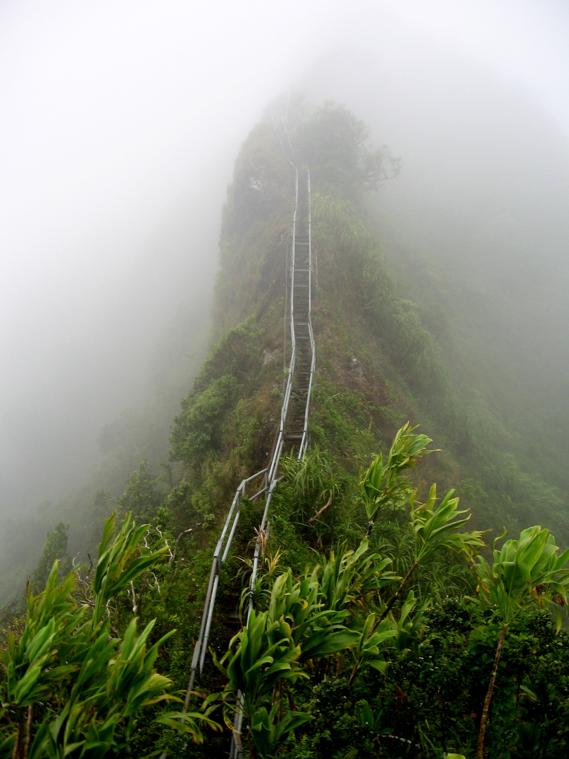 Tangga Haiku Dikenal sebagai Tangga Menuju Surga - Kaneohe | Secret World Trip Planner