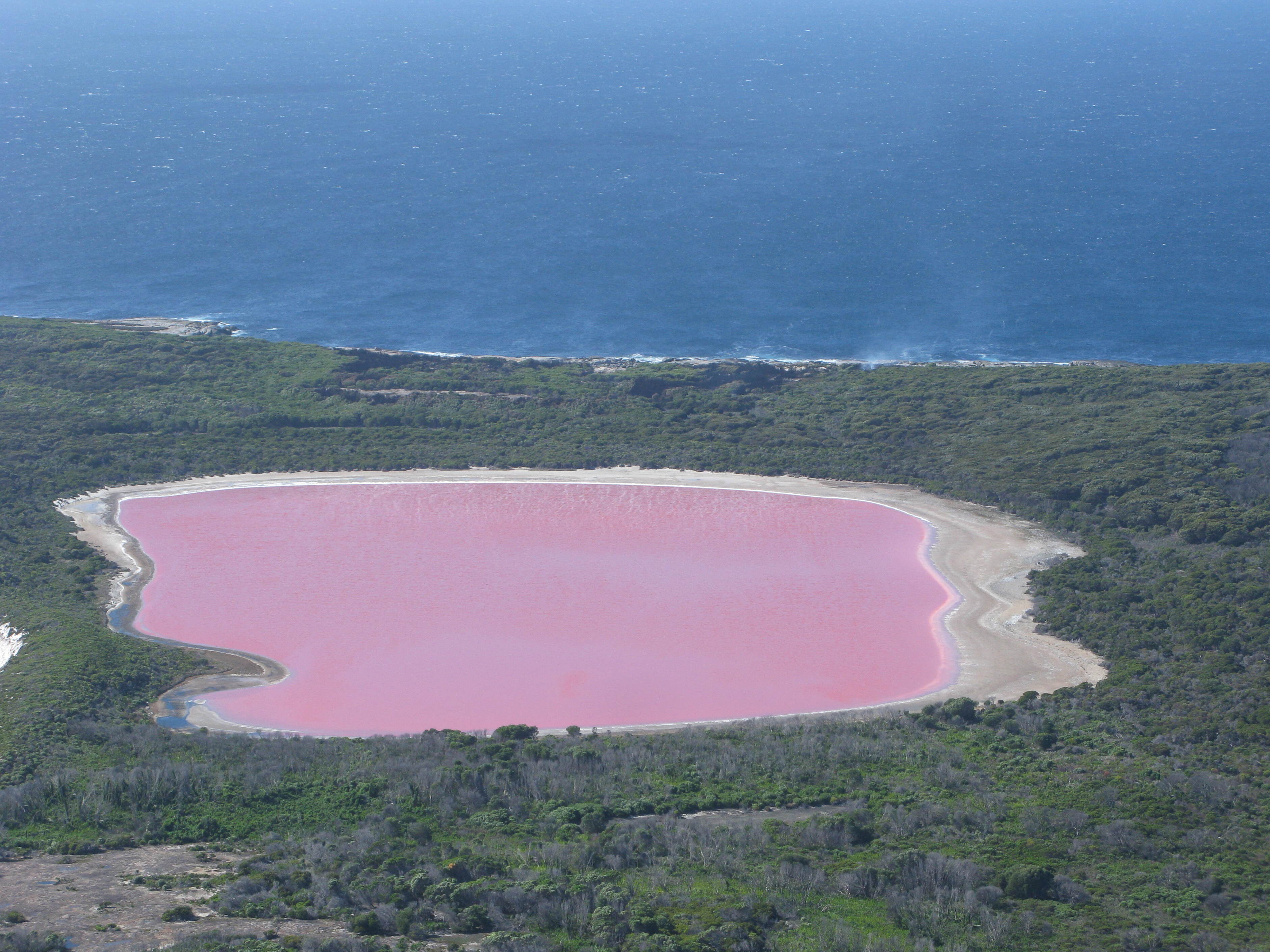 Il lago Hillier e il mistero rosa - Australia - Lake Hillier | Secret World Trip Planner
