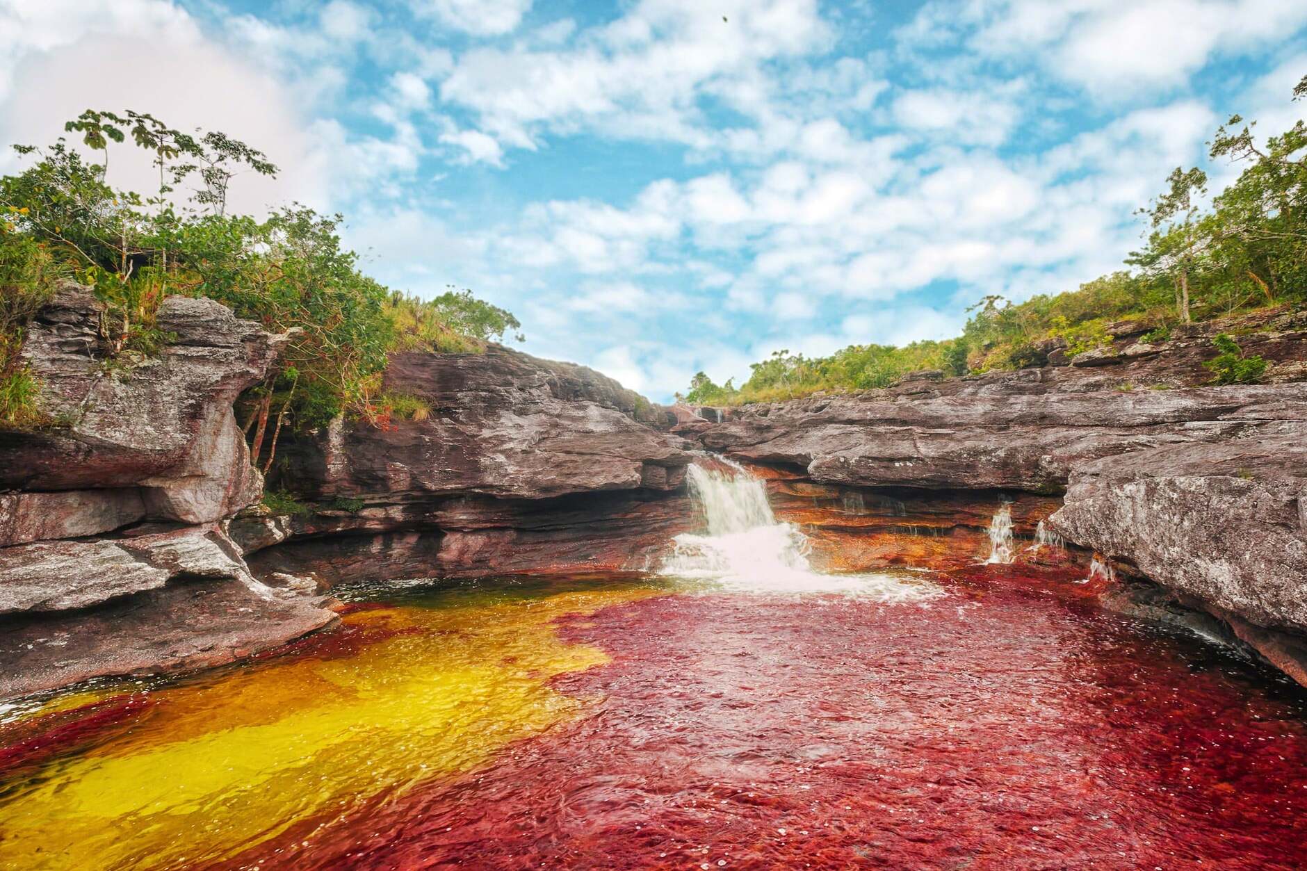 Caño Cristales River and its wonderful colors - Meta | Secret World Trip Planner