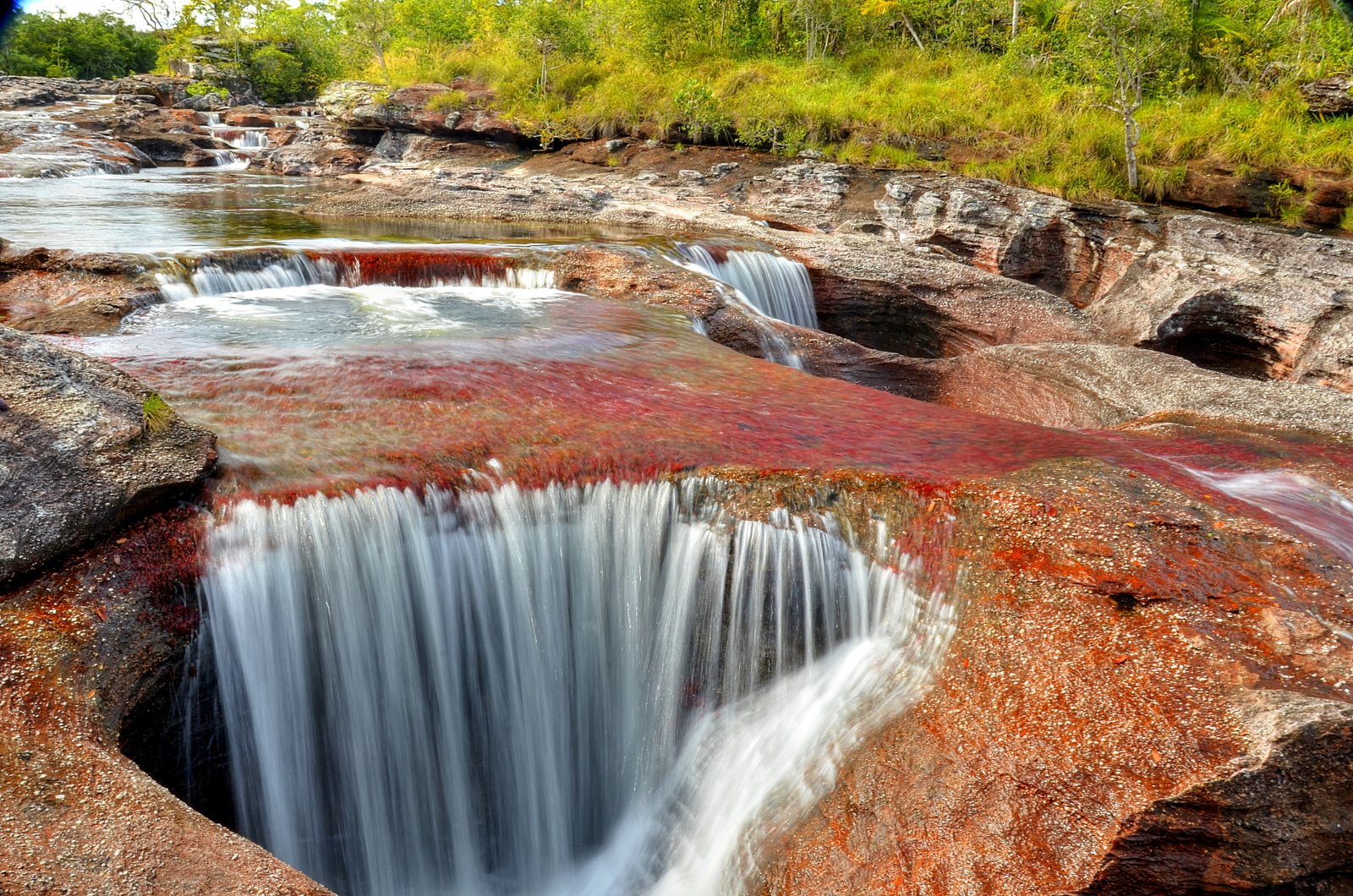 Caño Cristales River and its wonderful colors - Meta | Secret World Trip Planner