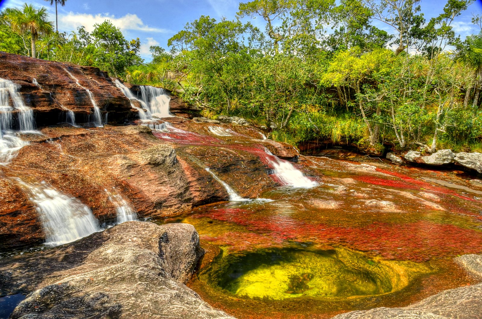 Caño Cristales River and its wonderful colors - Meta | Secret World Trip Planner