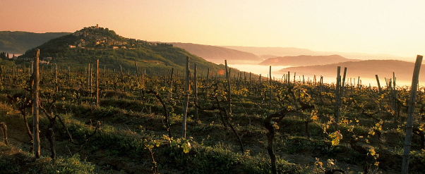 Motovun is a medioeval village in Istria — Montona