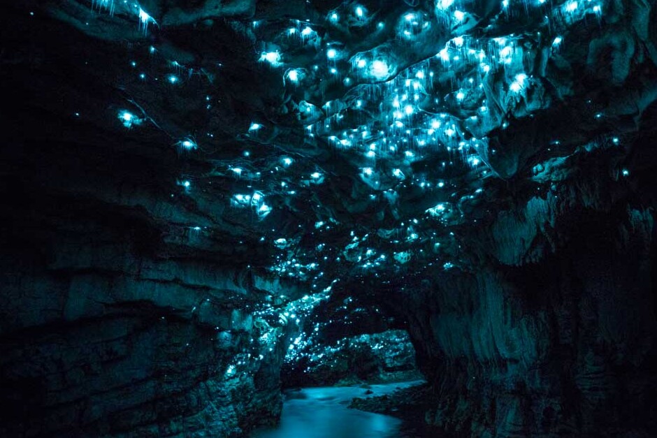 Grotte delle lucciole - Lucciole magiche in Nuova Zelanda — Waitomo