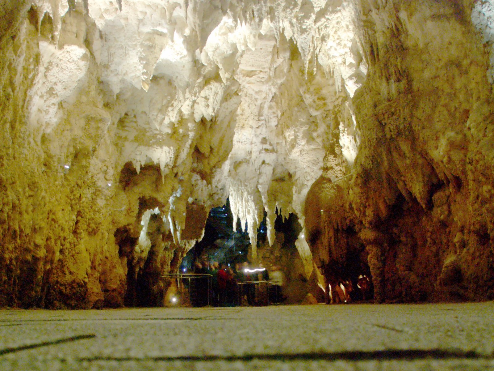 Grotte delle lucciole - Lucciole magiche in Nuova Zelanda - Waitomo | Secret World Trip Planner
