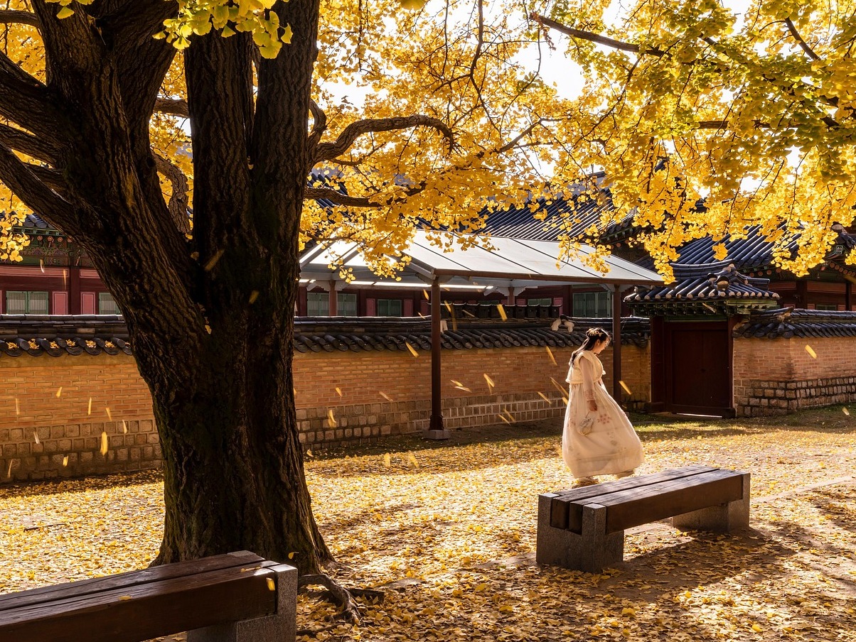 Forbidden City - Pechino | Secret World Trip Planner