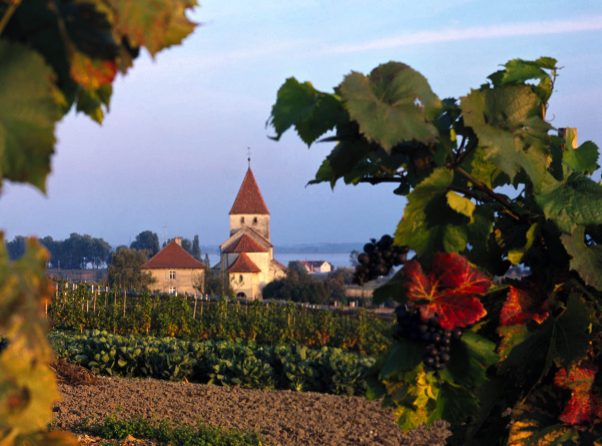 Insula Reichenau de pe lacul Constance - Reichenau | Secret World Trip Planner